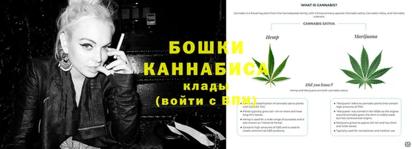 СК Горно-Алтайск
